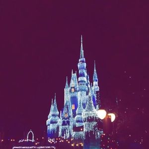 Meet your Posher, Abbie